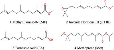 Comparative Metabolomics and Lipidomics of Four Juvenoids Application to Scylla paramamosain Hepatopancreas: Implications of Lipid Metabolism During Ovarian Maturation